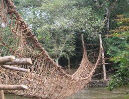 mysterieux ponts de lianes chez les yacouba