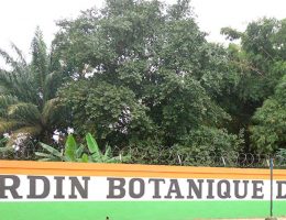 le jardin botanique de bingerville