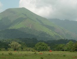 la reserve stricte de nature du mont nimba