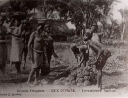le genocide des baoules