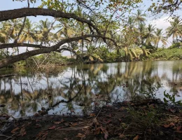 azuretti le tresor discretement garde du littoral ivoirien
